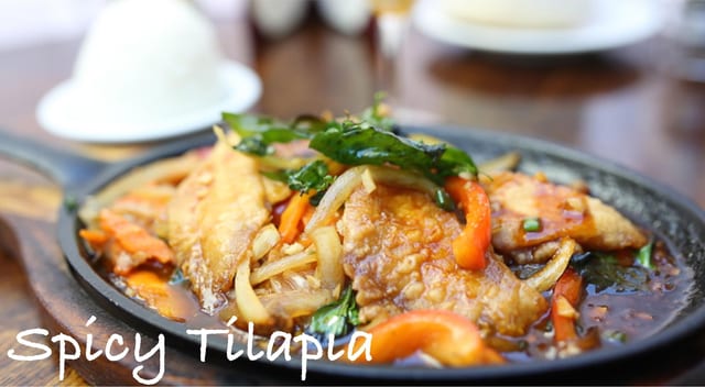 Spicy Tilapia.